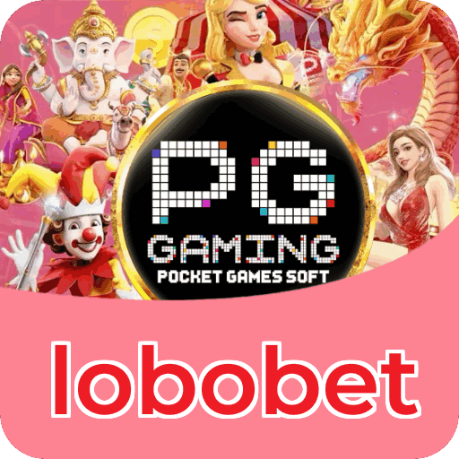 lobobet apostas — dados e LGPD no site